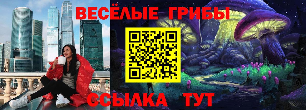 Ростов Великий  Галлюциногенные грибы Psilocybe  Вход с VPN  Псилоцибиновые грибы мухоморы 