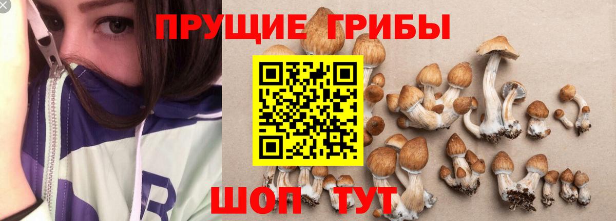 Галлюциногенные грибы GOLDEN TEACHER Ростов Великий